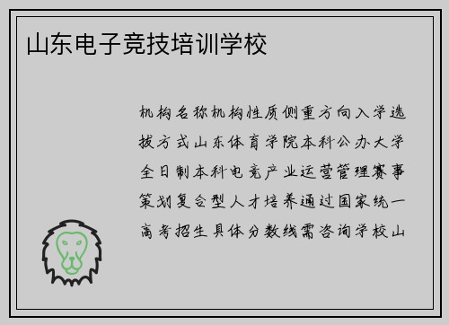 山东电子竞技培训学校